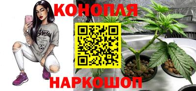 СК Рязань