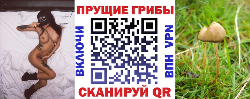 закладка маркетплейс клад Псилоцибиновые грибы Cubensis Пыть-Ях